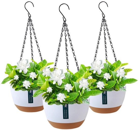 Pannelli per piante 3 in 1, contenitori in plastica, grappe in metallo, contenitori per piante da appendere, contenitori per piante da appendere rimovibili, contenitori per piante da appendere per interni ed esterni, giardino, decorazione per parete