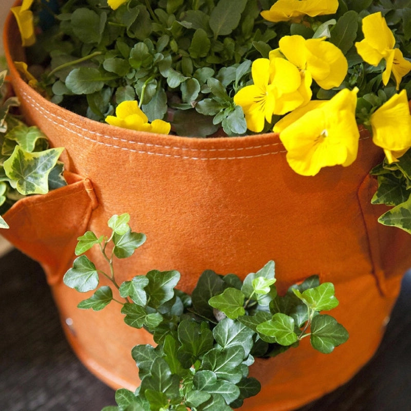 Vaso per Fragole in tessuto BloemBagz, da 35 litri, colore Verde