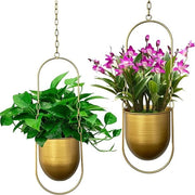 Impianti per piante appesi, set di 2 vasi per piante appesi boho, piante per parete e soffitto moderne, vaso per piante grasso, erbe, piccole piante, piante aeree (oro)