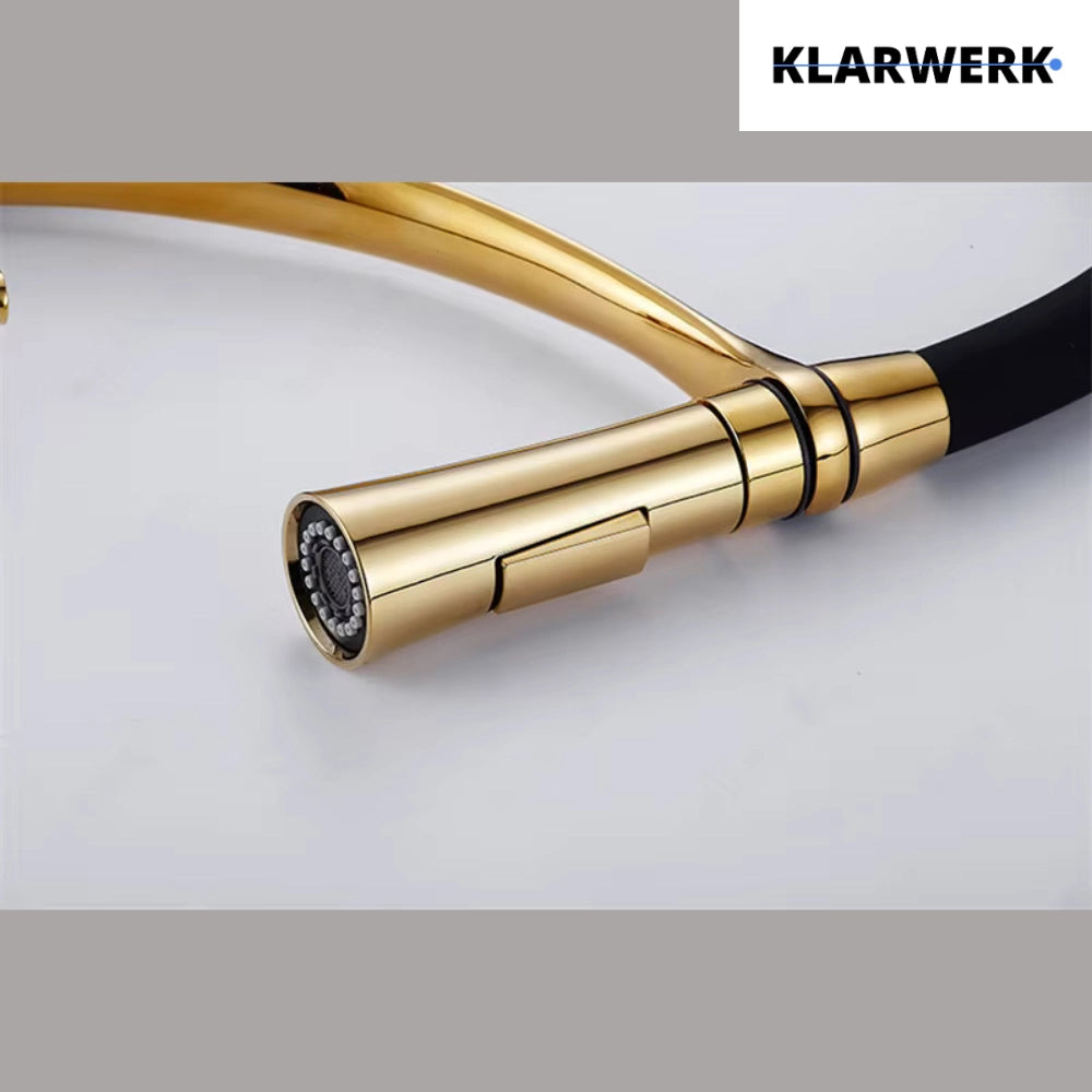 JANA | Rubinetto cucina girevole flessibile in acciaio inox oro lucido|Rubinetto miscelatore arco alto|Rubinetto alta pressione 360° 2 attacchi gastro
