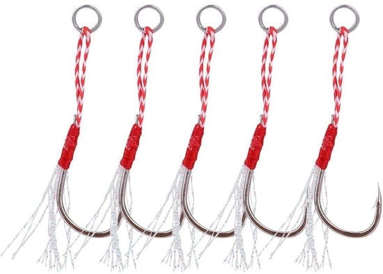 Haken per Pescare - 5 Stuks - Haken in Metallo - Haken per Pescatori - 10 Dimensioni - Sicuro per la Linea da Pesca - Grappolo