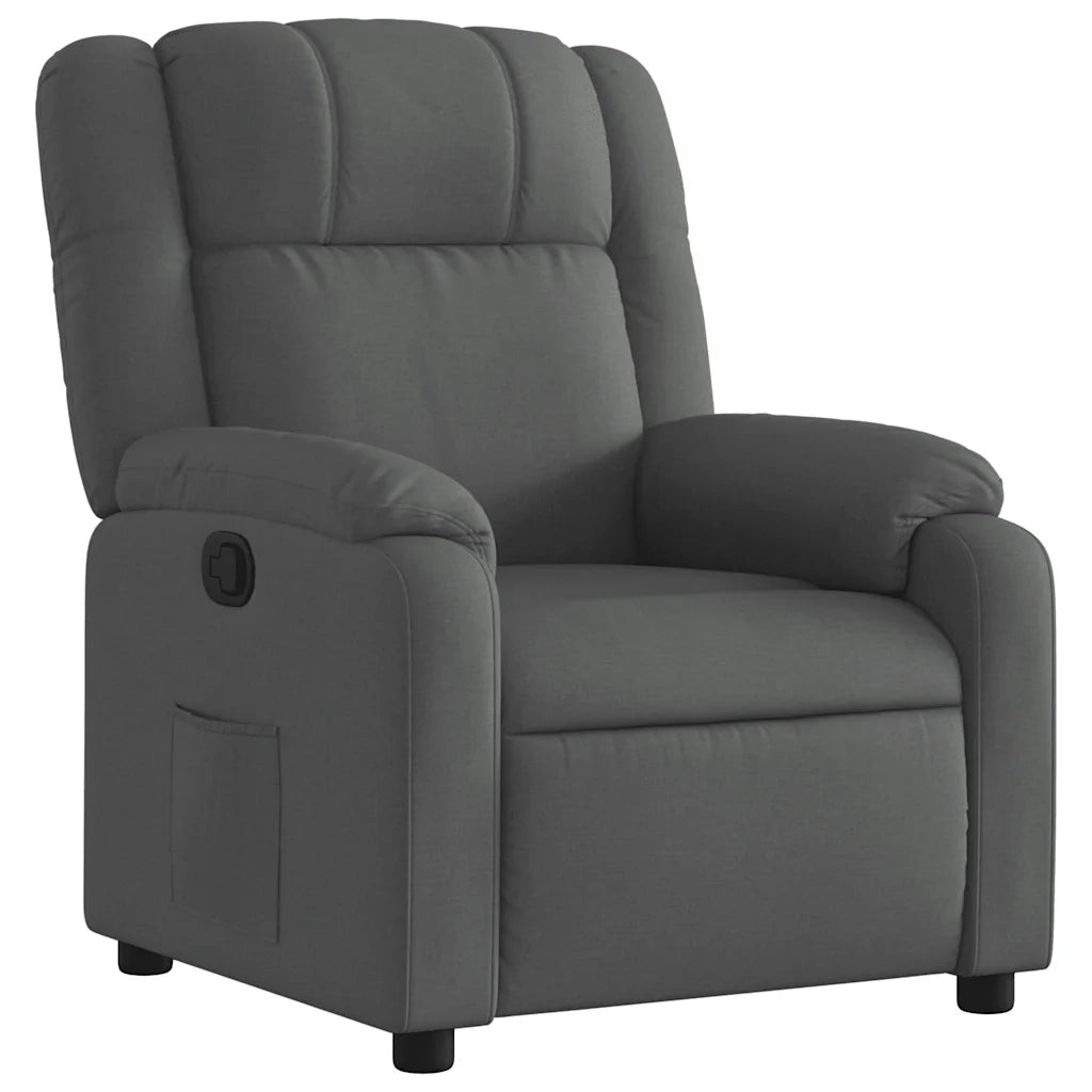 Divano Sedia-Poltrona reclinabile in Tessuto Grigio Scuro 998955