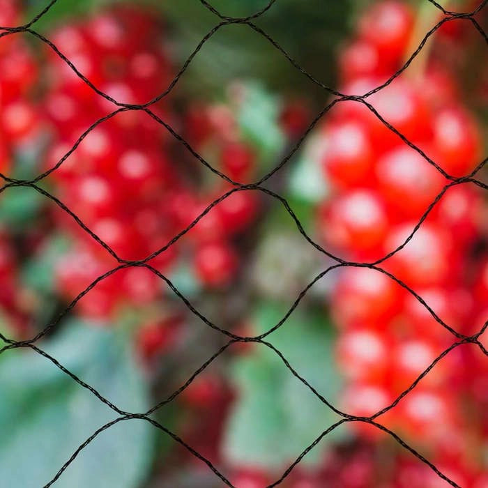 Primo Natural Anti-Bird Net 10 x 10 m nero