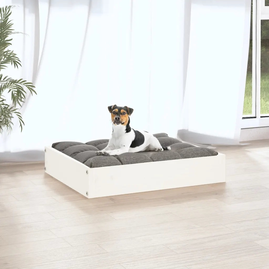 Cuccia per Cani Bianca 51,5x44x9 cm in Legno Massello di Pino 820847