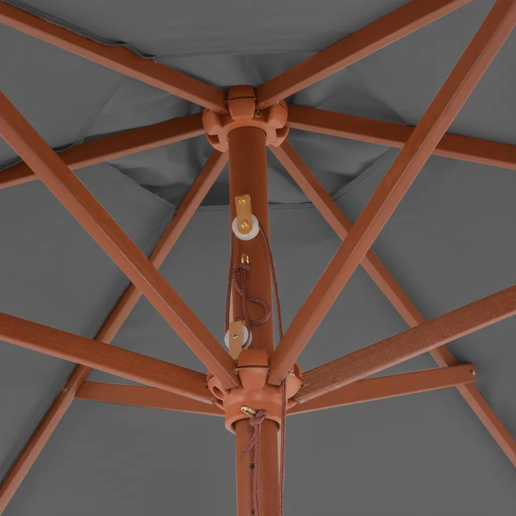 Ombrellone da Esterni con Palo in Legno 270 cm Antracite 44515
