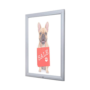 Bacheca con Apertura a Ribalta 70x100 cm in Alluminio Porta Poster Silver