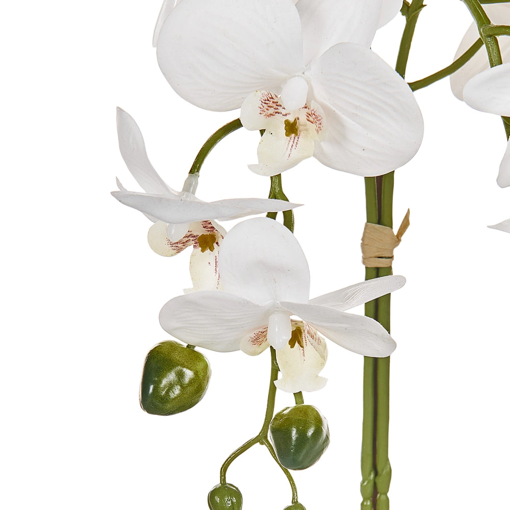 Pianta artificiale in vaso Materiale sintetico bianco e verde 42 cm Pianta orchidea Accessorio decorativo per interni