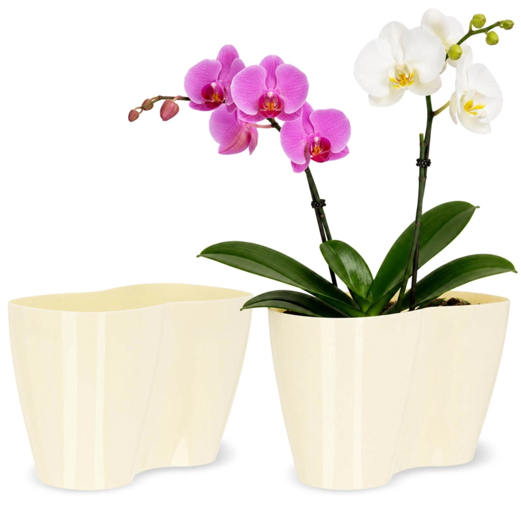 Vaso da fiori KADAX, Vaso da fiori, Vaso da fiori in plastica, Orchidea, 23 cm, Crema