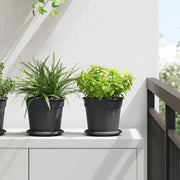 Vasi per Piante 24 pcs Nero Ø 17 x 14 cm Plastica 3403268