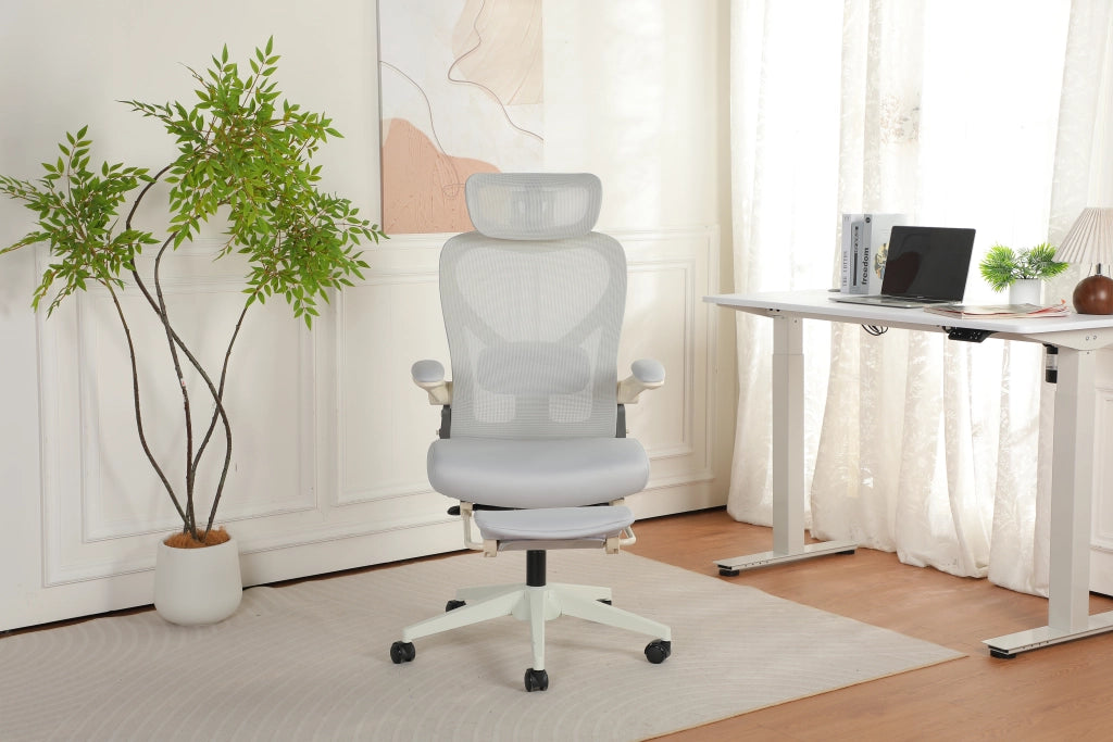 Sedia da ufficio ergonomica ¨C zephmum ¨C grigio