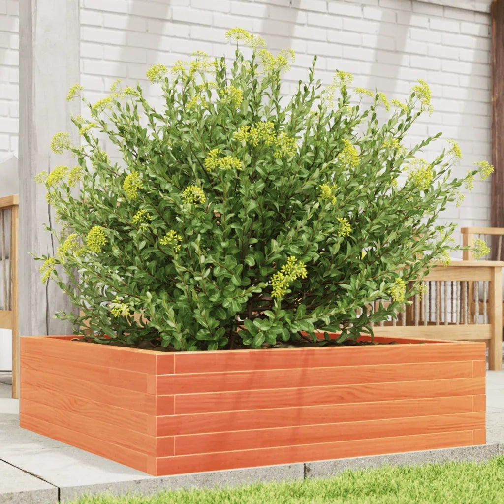 Fioriera Giardino Marrone Cera 80x80x23 cm Legno Massello Pino 847200