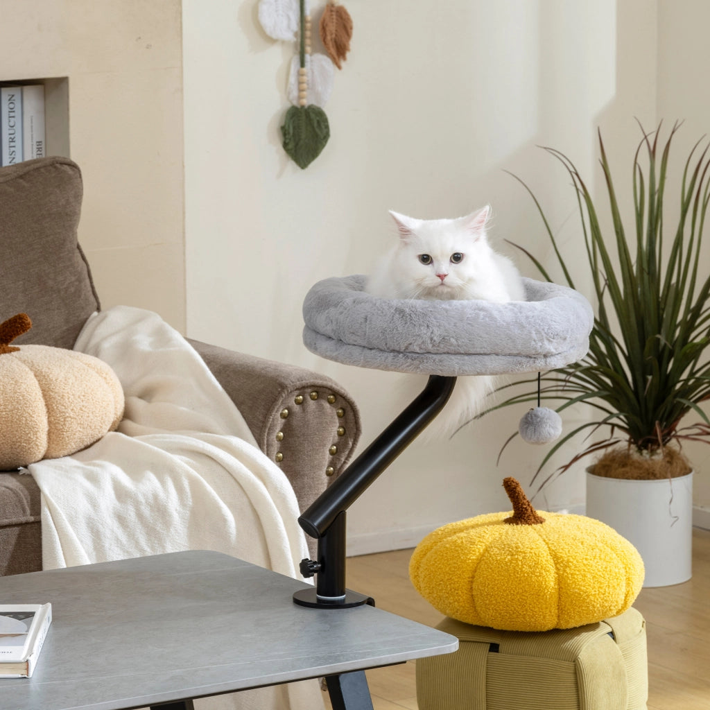 Letto per gatti con scrivania regolabile ¨C zephmum ¨C Grigio 45x60x20 cm