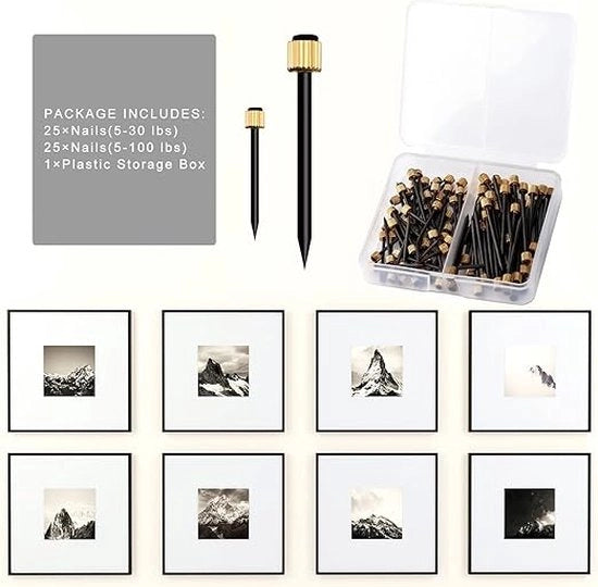 Set di chiodi per parete, chiodi a testa piatta, chiodi per appendere foto, chiodi per parete, set di chiodi hardware 50 pezzi