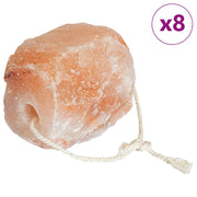 Pietre di Sale da Leccare Rosa Sale Rock 42000117