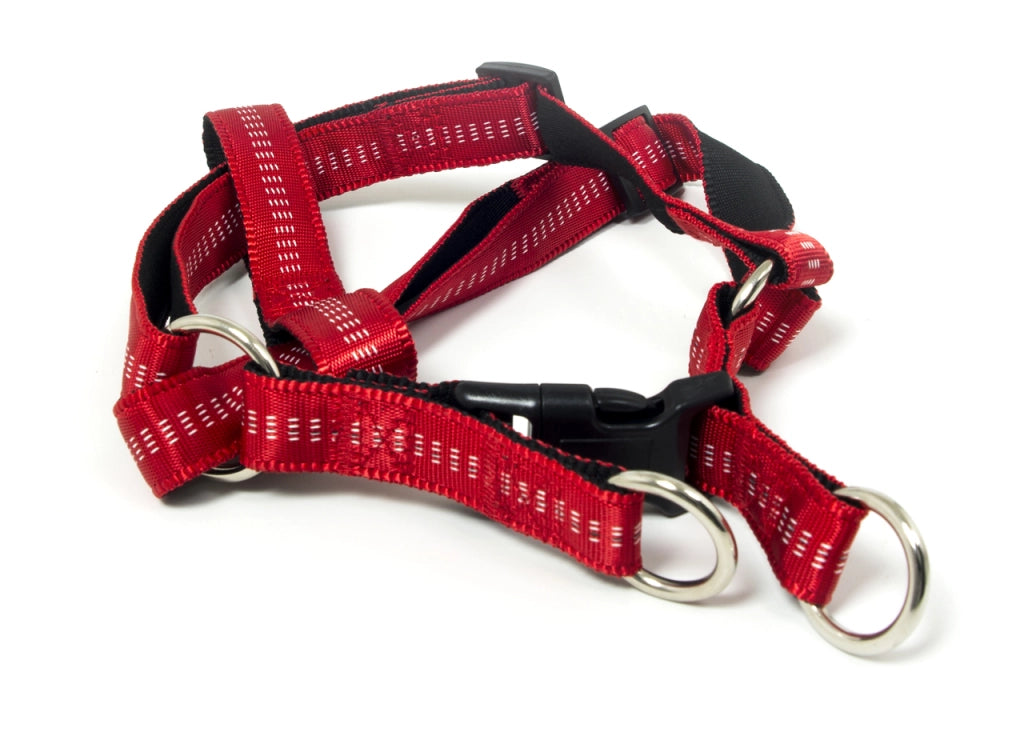 Pettorina Per Cani Regolabile E Resistente Modello Color Doggy - L - Rosso