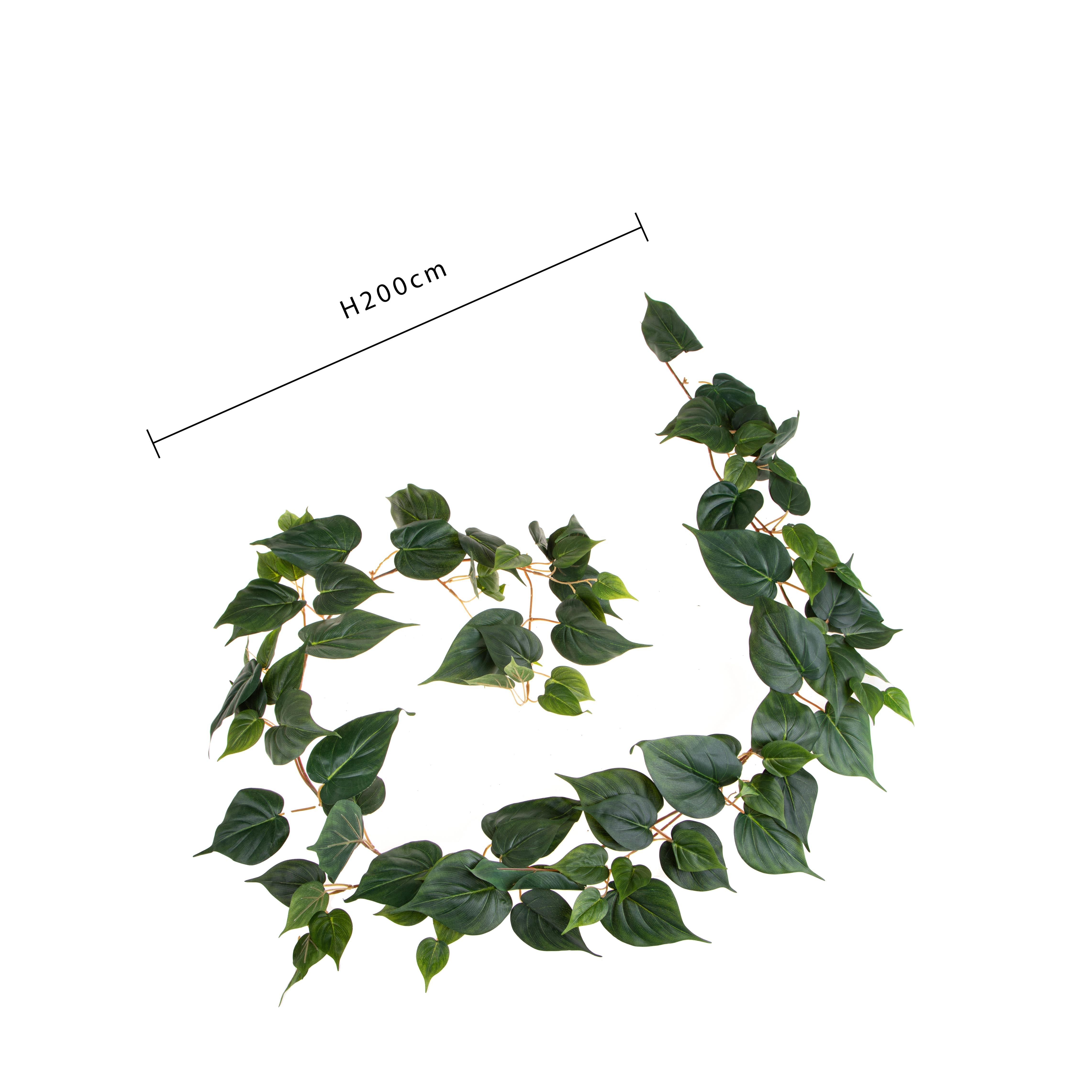 Set 2 Ghirlande Potus 200 cm