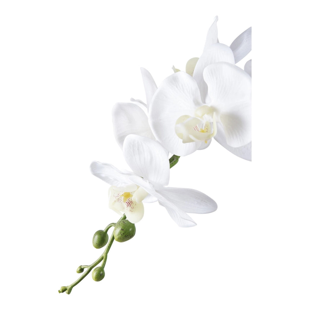 Pianta Artificiale Orchidea, Verde, Plastica PE, 34x21x47 cm