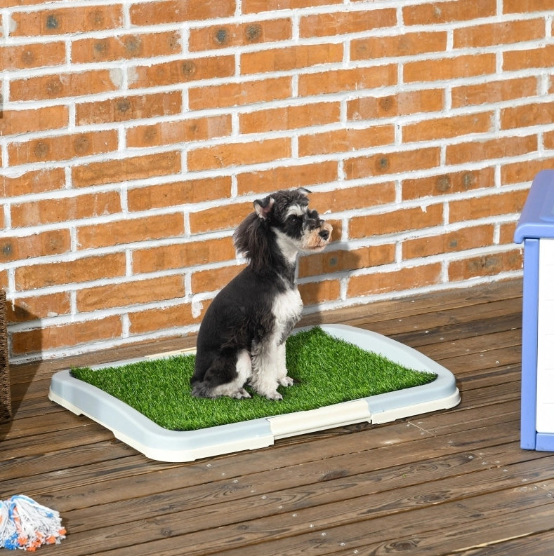 Toilette per cani e cuccioli 63 x 48，5 x 6 cm in plastica verde e bianca