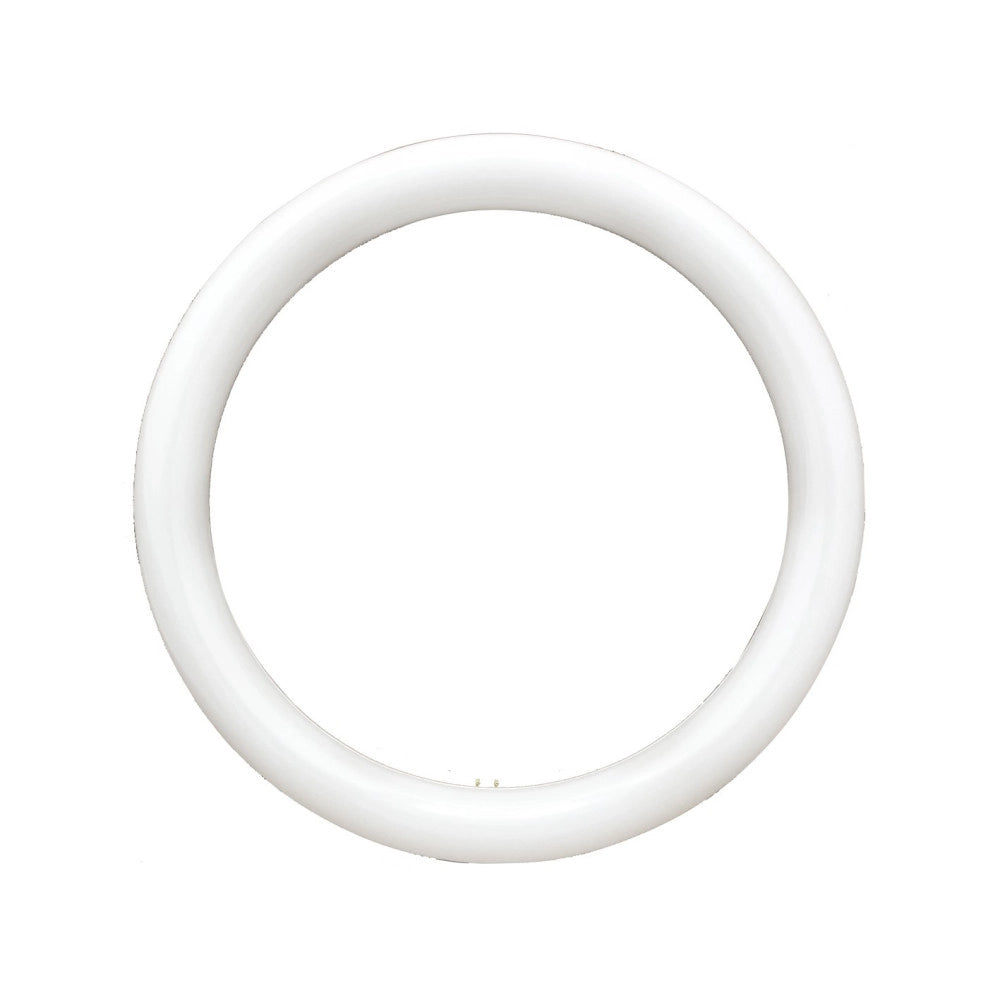 Trade Shop - Neon Circolare Disco Lampada Circolina Lampadina 32w G10q 30cm 300mm Luce Fredda -