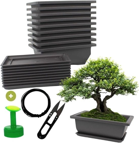 Set di 10 vasi Bonsai con sottoscala e accessori per la coltivazione