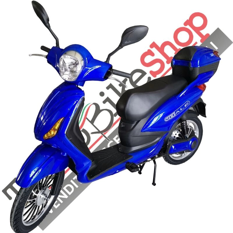 Bici Elettrica Scooter Velocipede Vitale NJT-007 250W  20Ah 48V Batteria a Grafene-Blu