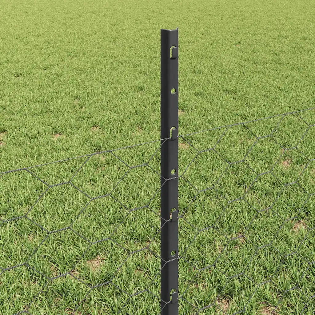 Recinzione da Giardino | Recinzione con Posto Grigio