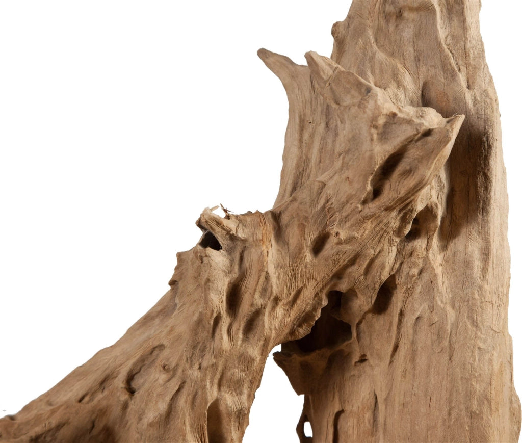 Biscottini Scultura naturale astratta in legno riportato dal mare L35xPR33xH93 cm
