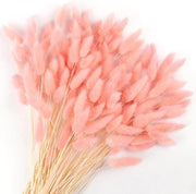 120 pezzi di fiori essiccati, code di zoccolo di coniglio, pampas, code di zoccolo naturale, fiori essiccati, pampas, decorazione per arredamento, stile boho, arredamento, pezzi di fiori (rosa)