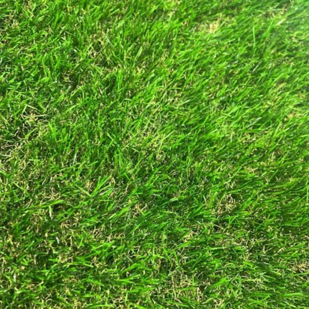 Tappeto erboso sintetico larghezza 2 mt spessore fili erba 45 mm sempre verde *** misura lunghezza 25 mt, confezione 1