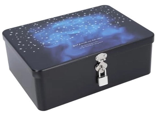 Cassa di conservazione grande formato - Contenitore di metallo - Con cerniera di appeso - Cassa multifunzionale - Dimensioni 24,5 x 18 x 8,5 cm - Per piccoli oggetti