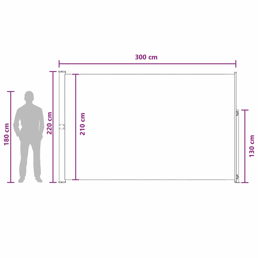 Tenda laterale retrattile Antracite 300 x 220 cm Poliestere