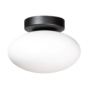 Plafoniera ovale in vetro bianco OMI Zuma Line 1xG9