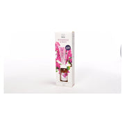 DIFFUSORE BACCHETTI 125ML BOUGANVILLE E TALCO