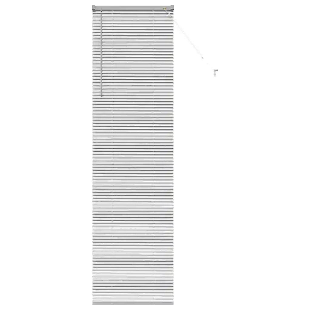 Tendaggi a Veneziana | Tenda a lamelle Argento 220 x 65 cm Alluminio