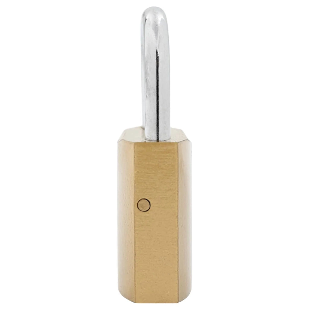 U Lock con Chiavi 12 pz Ottone Ferro CFW1561015