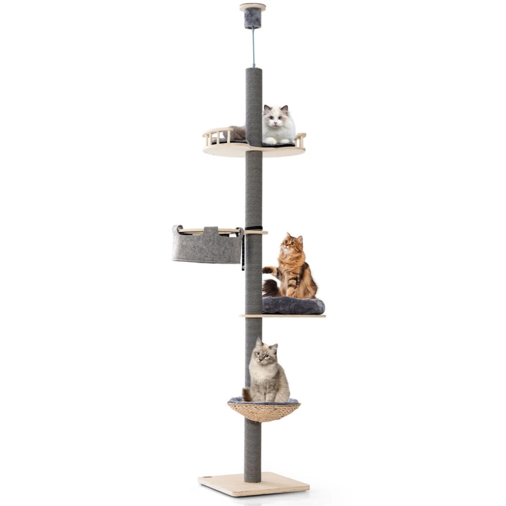 Albero per gatti da pavimento a soffitto con altezza regolabile da 236 a 271 cm, Torre per gatti in legno Grigio-Alberi Tiragraffi