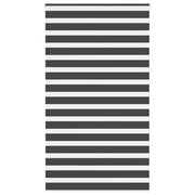Tenda a Rullo Zebra Nero Larghezza Tessuto 125,9 cm Poliestere