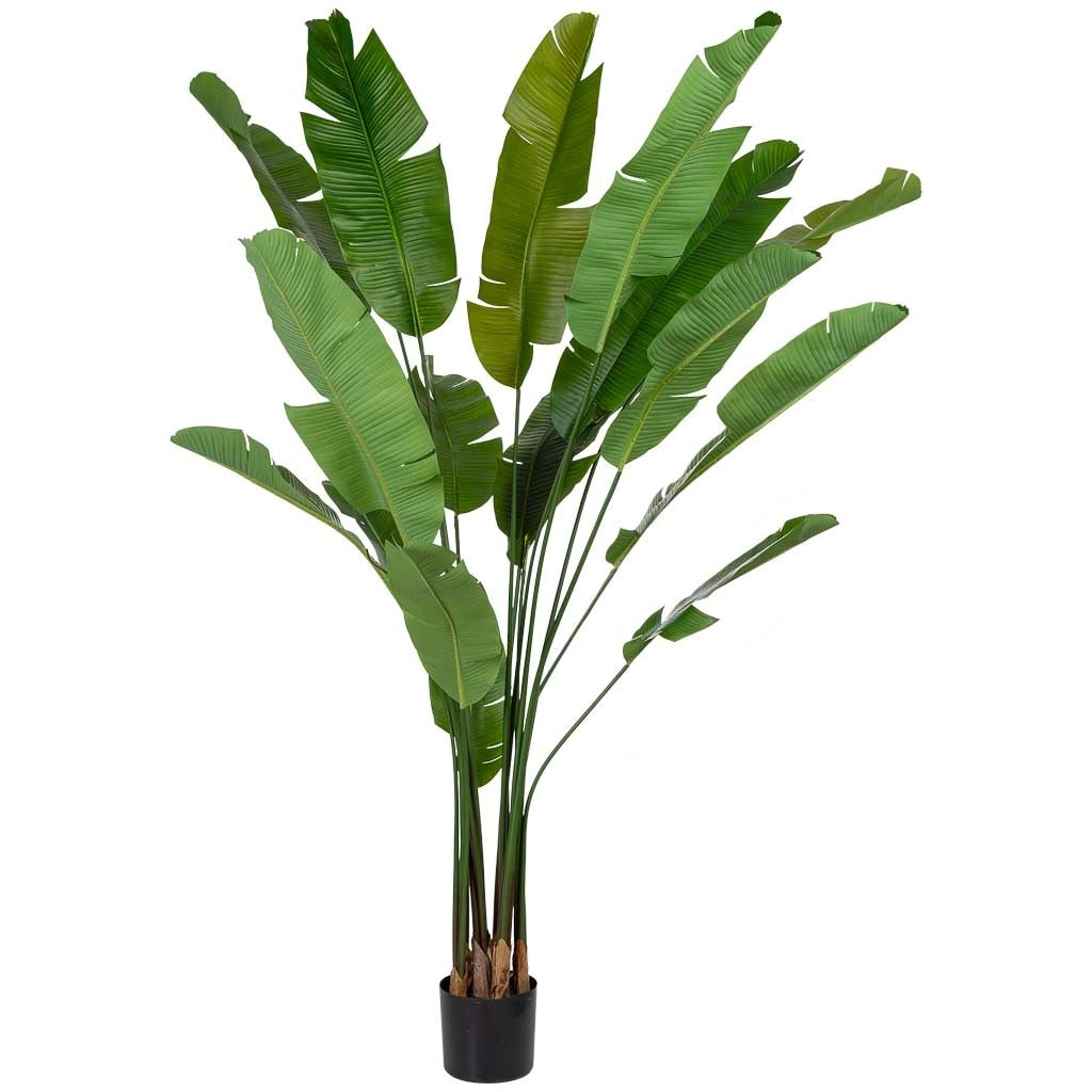 Sterlitzia decorativa artificiale con 18 foglie verde 95x95x240