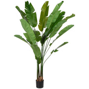 Sterlitzia decorativa artificiale con 18 foglie verde 95x95x240