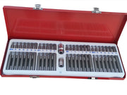 SET CHIAVI BUSSOLA INSERTI TORX ESAGONALI 54PZ