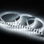Trade Shop - Striscia Strip 2400 Led 2835 24v 10 Metri 160w Luce Fredda Calda Naturale 24v-240-10 - -bianco Freddo      -