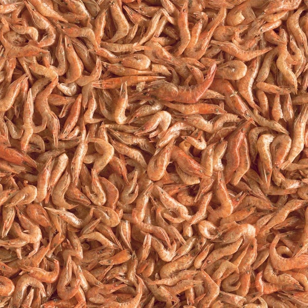 Tetra ReptoDelica Shrimps 250ml - Ghiottoneria a base di gamberetti per tutte le tartatughe d'acqua