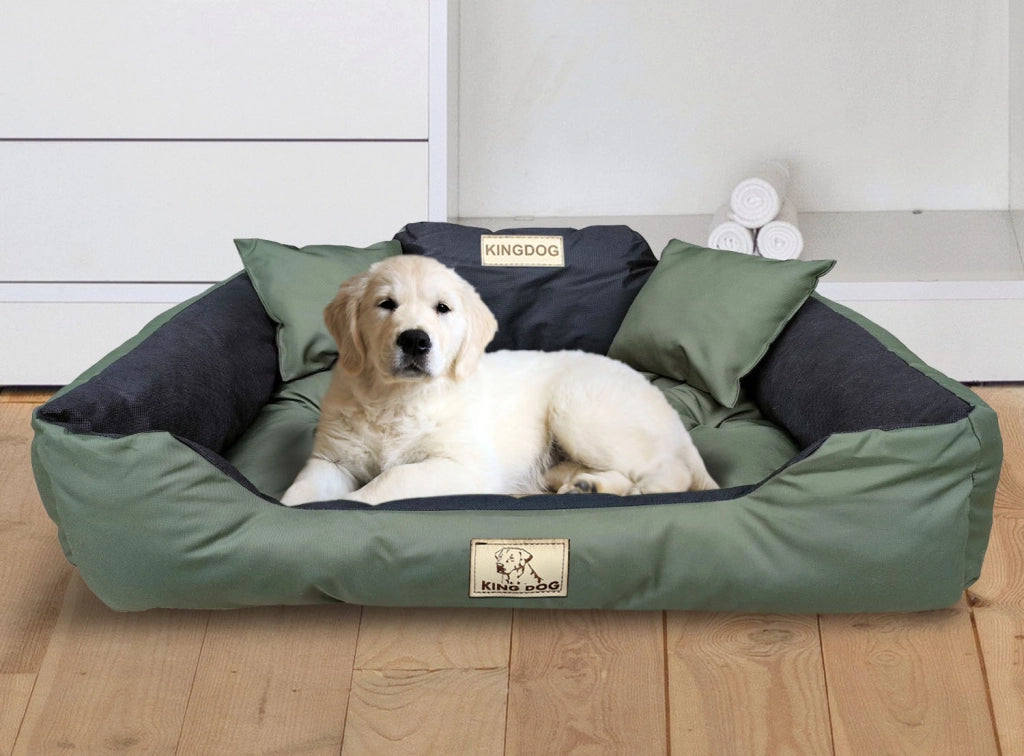 AIO FACTORY 115x95 cm KINGDOG Cuccia per cani impermeabile personalizzabile Verde