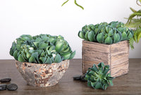 Set 6 Aoenium arboreum Artificiale Altezza 13 cm Verde