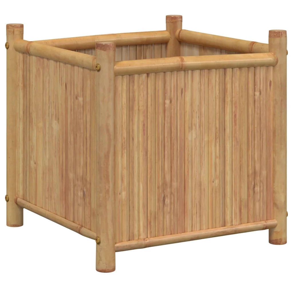 Fioriera | Cassetta per fiori | Vaso 50x50x50 cm in Bamb¨´