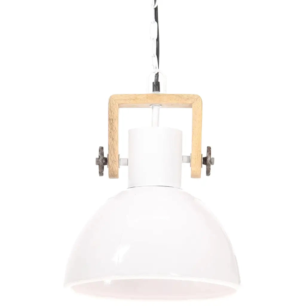 Lampada a Sospensione Industriale 25 W Bianca Rotonda 30 cm E27 CFW2420367