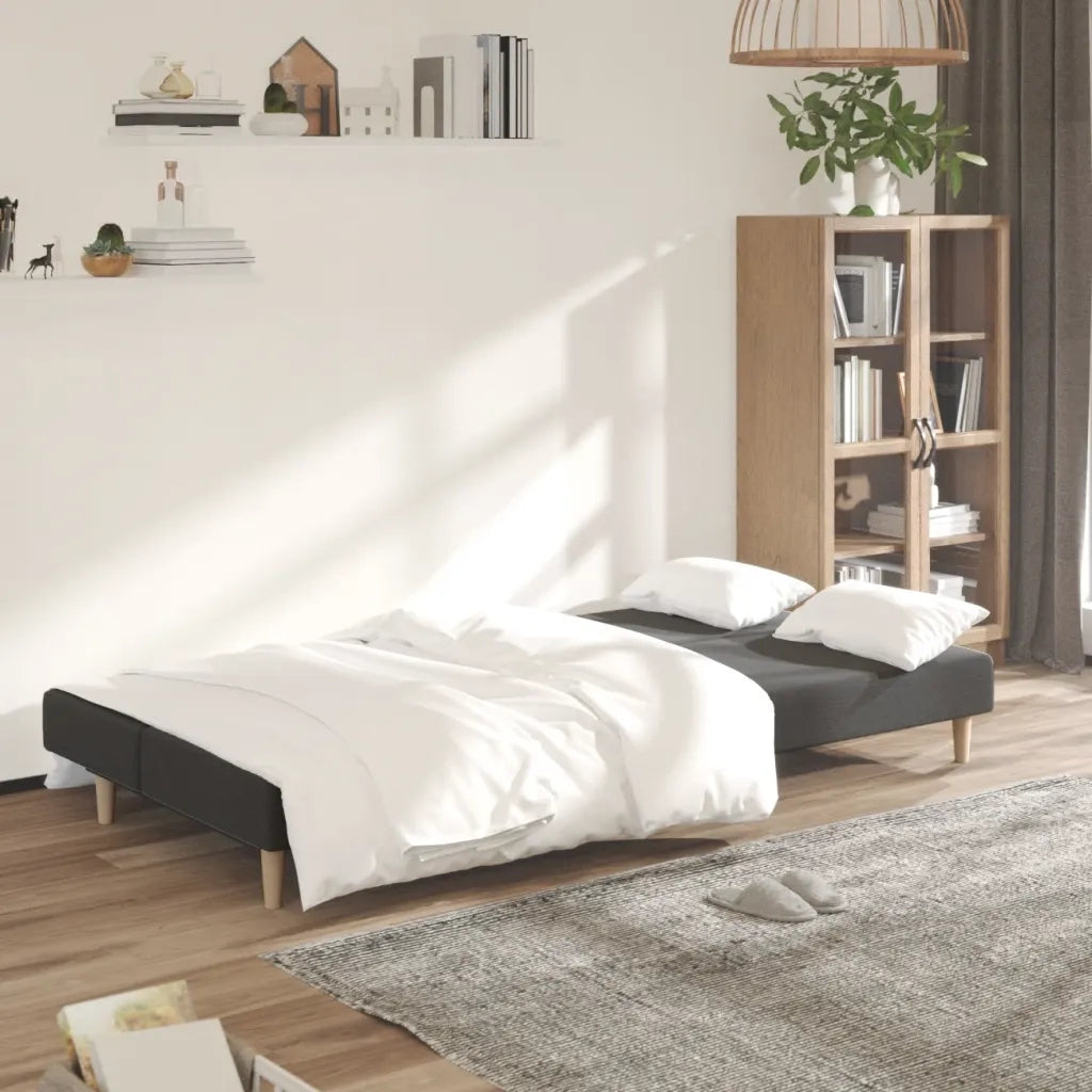 Divano Letto a 2 Posti-Sofa Letto 2 Posti-Daybed Grigio Scuro in Tessuto 827248