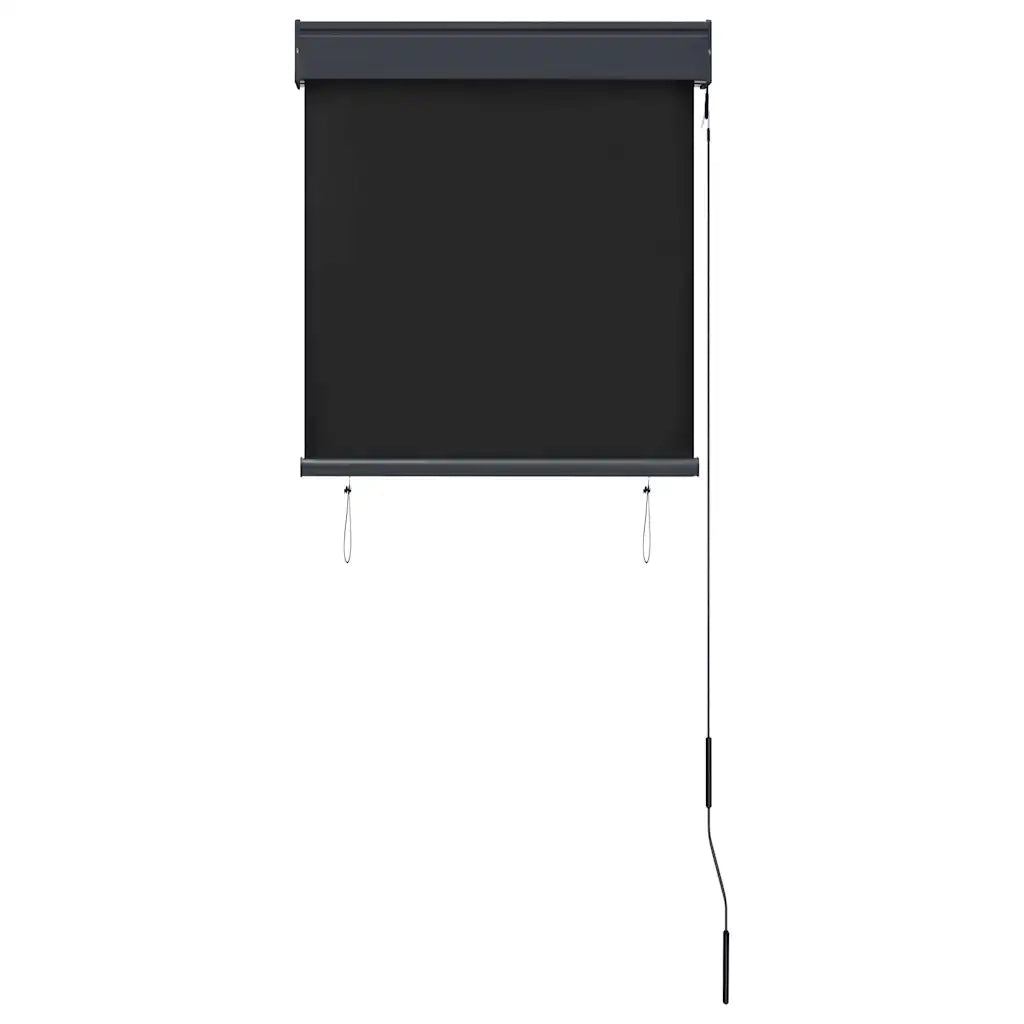Tenda a Rullo per Esterni 60x250 cm Antracite 145946
