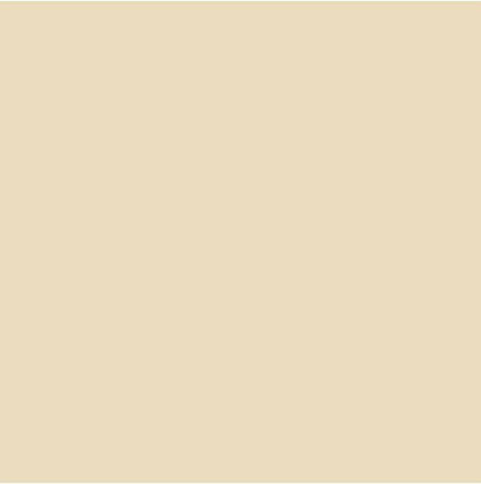 Pittura murale home color canapa 2,5 lt