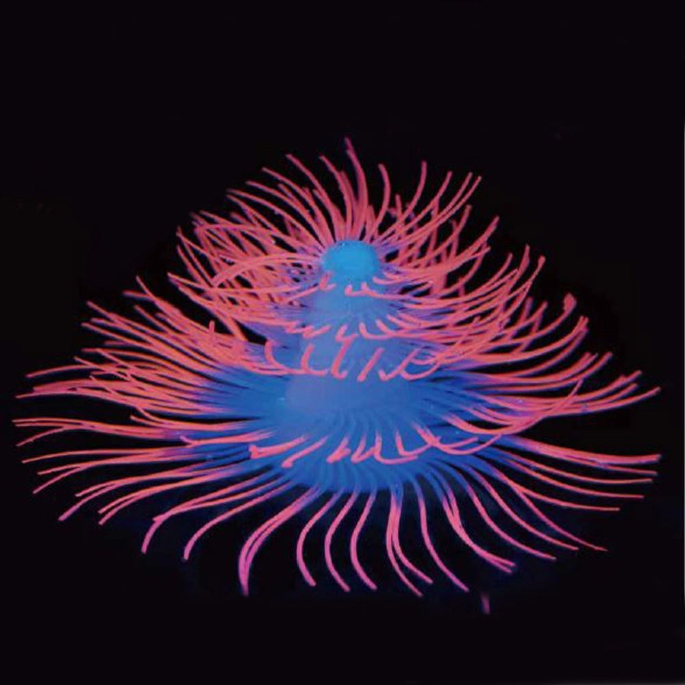 AQL Decor Fluo modello 10P cm12x12x7h - decorazione in silicone fluorescente